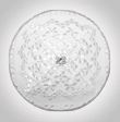 wedding kippah